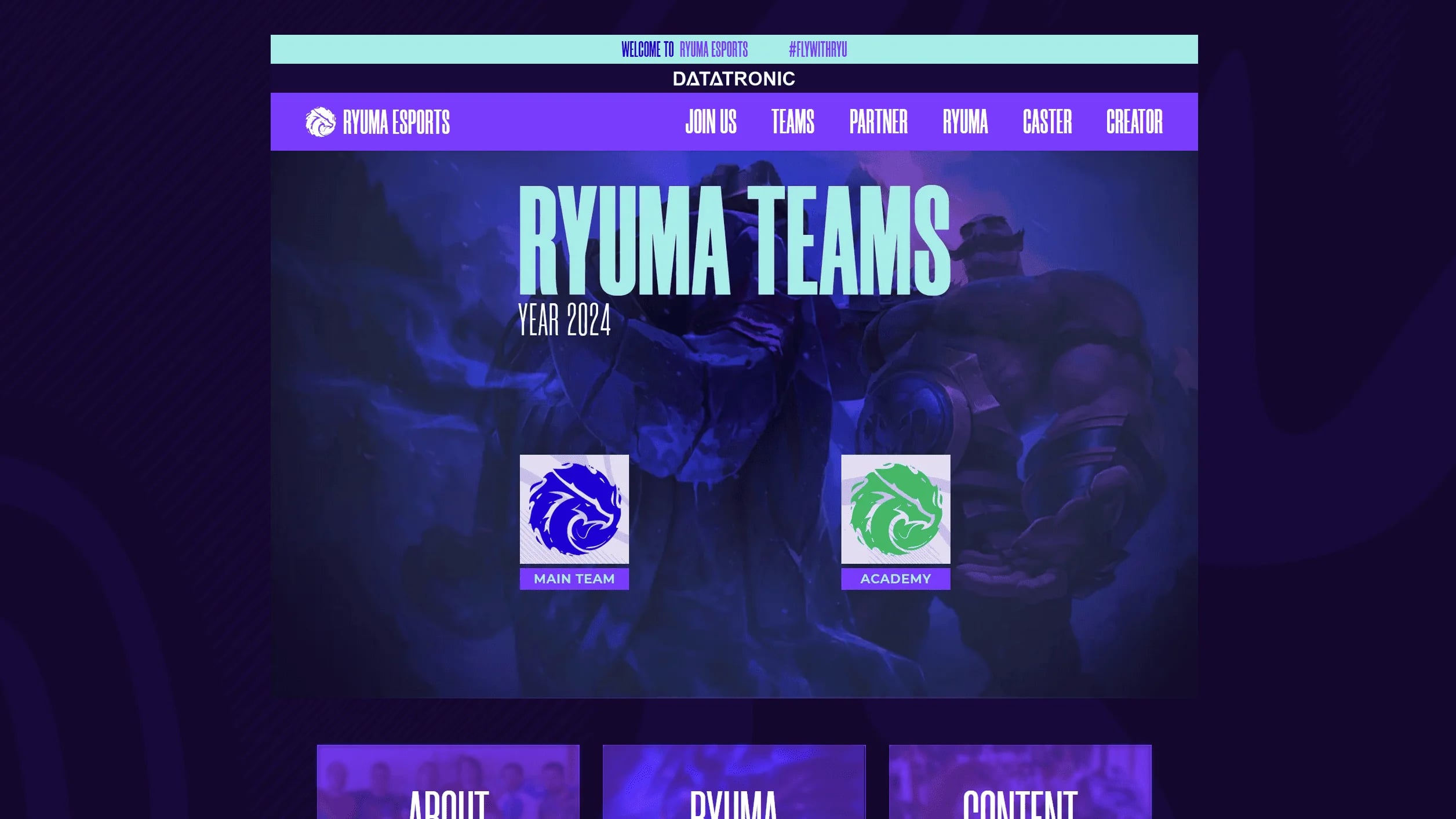 Website von RYUMA ESPORTS